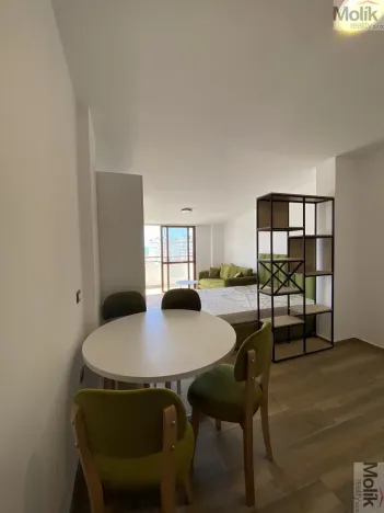 Prodej bytu 1+kk, Golem, 41 m2