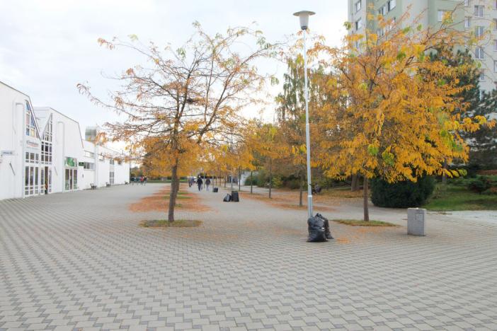 Pronájem obchodního prostoru, Plzeň - Skvrňany, Karla Steinera, 18 m2