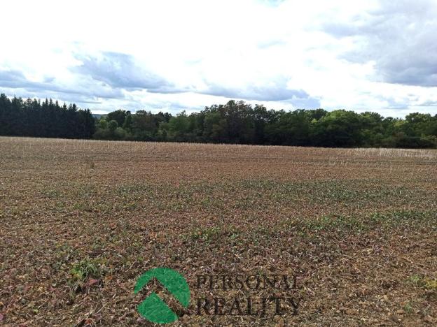 Prodej lesa, Krchleby, 6771 m2