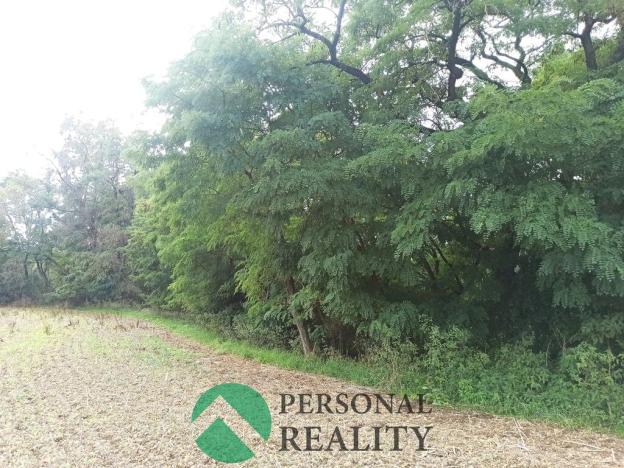 Prodej lesa, Krchleby, 6771 m2