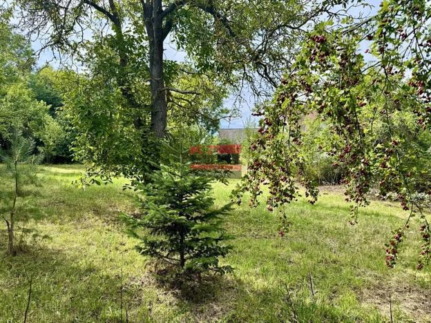 Prodej chalupy, Jistebnice, 274 m2