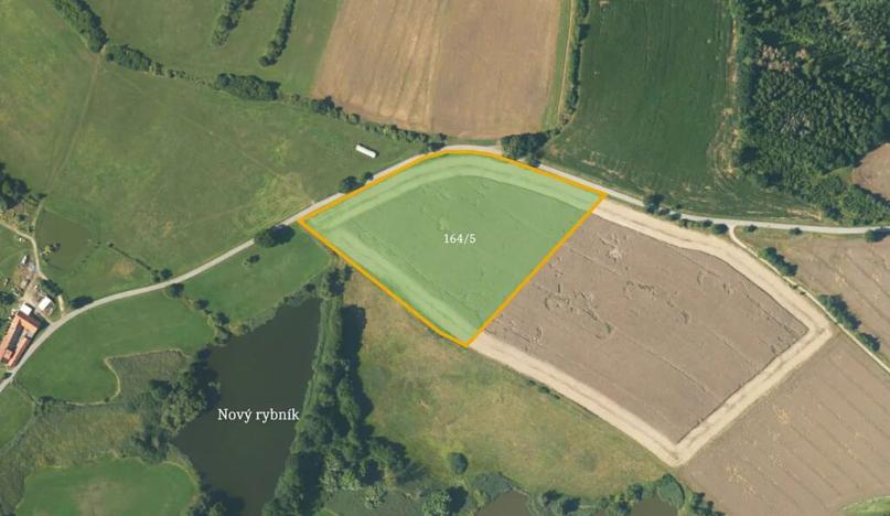 Prodej podílu pole, Borovná, 60983 m2