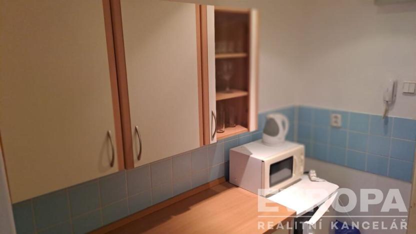 Pronájem bytu 1+kk, Praha - Nusle, U družstva Ideál, 25 m2