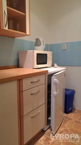 Pronájem bytu 1+kk, Praha - Nusle, U družstva Ideál, 25 m2