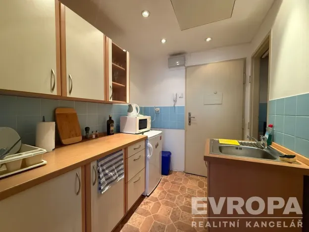 Pronájem bytu 1+kk, Praha - Nusle, U družstva Ideál, 25 m2