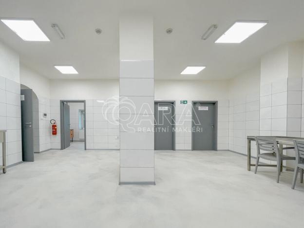 Pronájem výrobních prostor, Příbor, Freudova, 115 m2