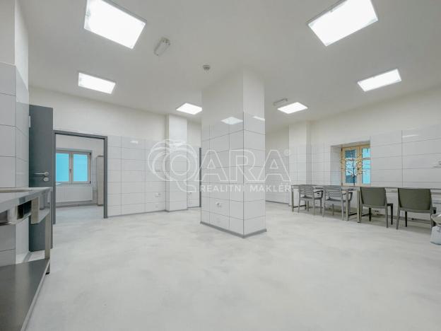 Pronájem výrobních prostor, Příbor, Freudova, 115 m2