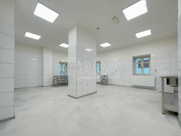 Pronájem výrobních prostor, Příbor, Freudova, 115 m2