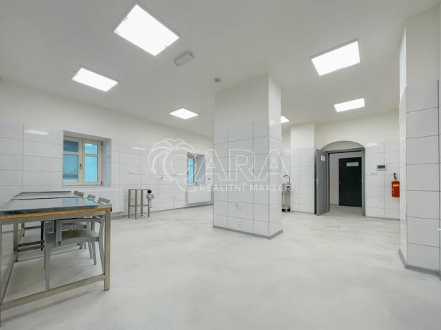 Pronájem výrobních prostor, Příbor, Freudova, 115 m2