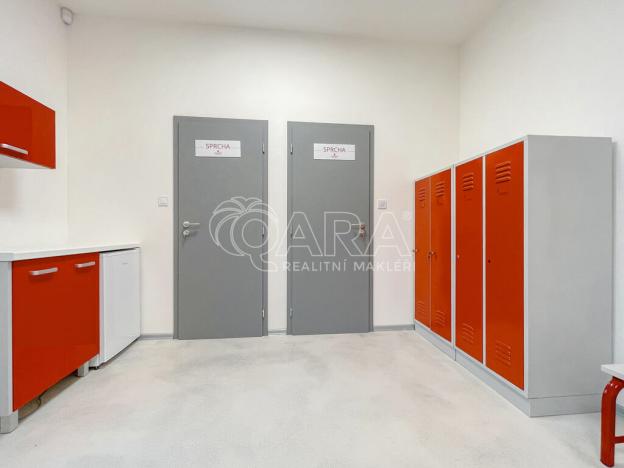 Pronájem výrobních prostor, Příbor, Freudova, 115 m2