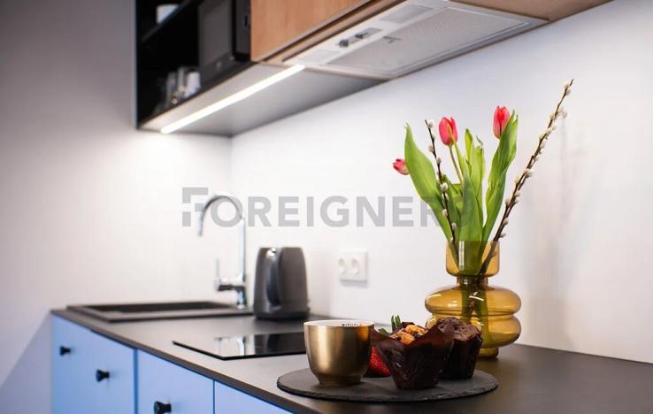 Pronájem bytu 1+kk, Olomouc, Edmunda Husserla, 29 m2