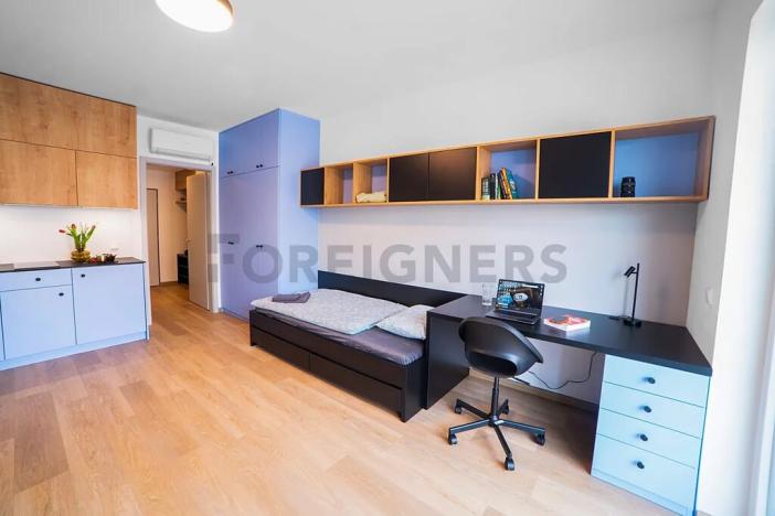 Pronájem bytu 1+kk, Olomouc, Edmunda Husserla, 29 m2