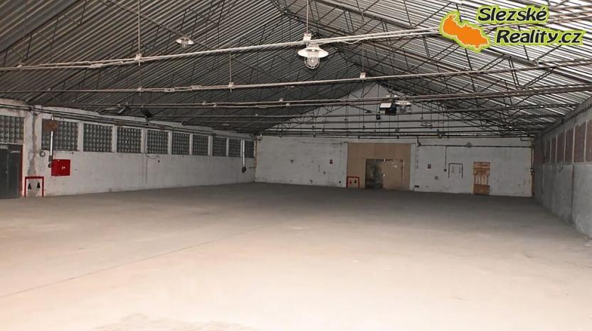 Pronájem skladu, Ostrava, Výškovická, 740 m2