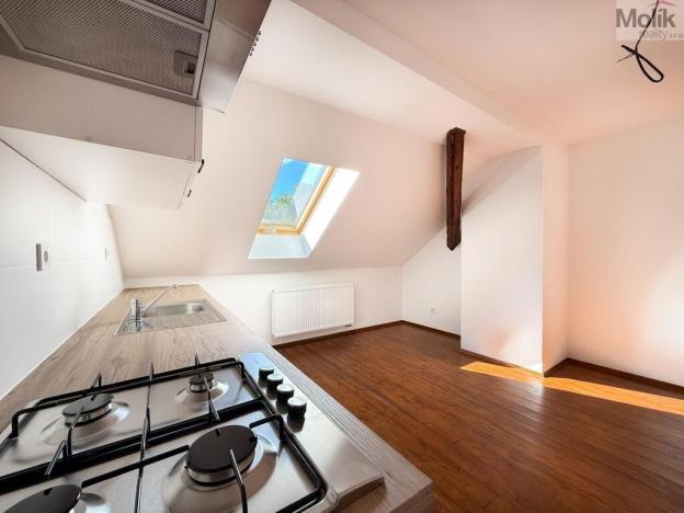 Pronájem bytu 1+1, Osek, Tovární, 42 m2