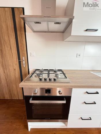 Pronájem bytu 1+1, Osek, Tovární, 42 m2