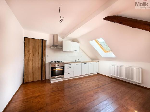 Pronájem bytu 1+1, Osek, Tovární, 42 m2