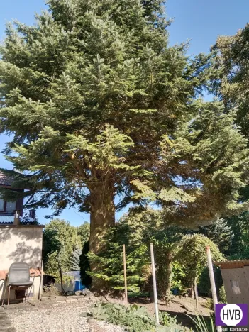 Prodej zahrady, Blovice, 544 m2