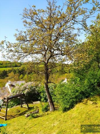 Prodej rodinného domu, Vyškov - Opatovice, 135 m2