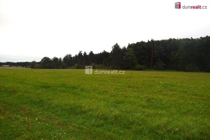 Prodej pole, Benátky nad Jizerou, Pražská, 6490 m2