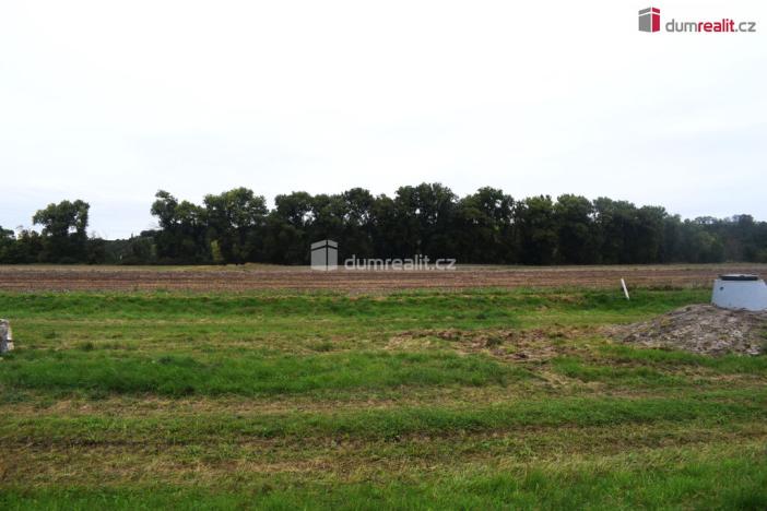 Prodej pole, Benátky nad Jizerou, Pražská, 6490 m2