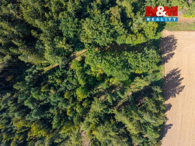 Prodej lesa, Cheb - Podhrad, 1757 m2