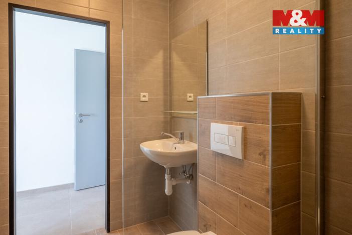 Pronájem bytu 1+kk, Radošovice, 18 m2