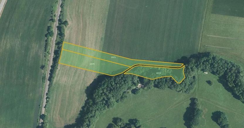 Prodej pole, Javorník, 6504 m2