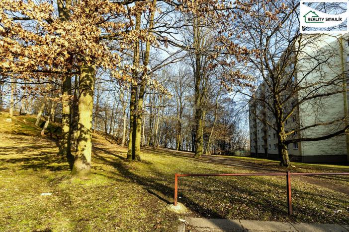 Prodej bytu 3+1, Cheb, Dvořákova, 74 m2