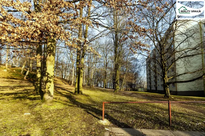 Prodej bytu 3+1, Cheb, Dvořákova, 74 m2