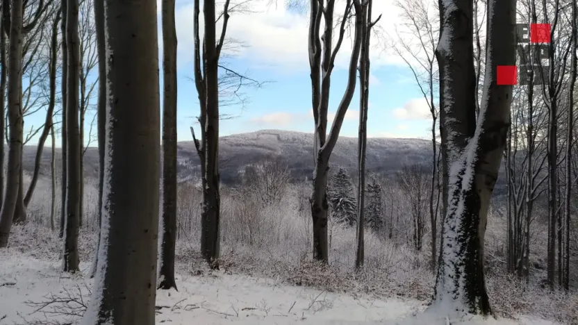 Prodej chalupy, Jiřetín pod Jedlovou - Lesné, 170 m2