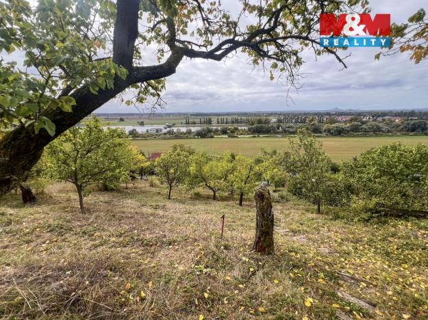 Prodej zahrady, Litoměřice - Litoměřice-Město, 1686 m2