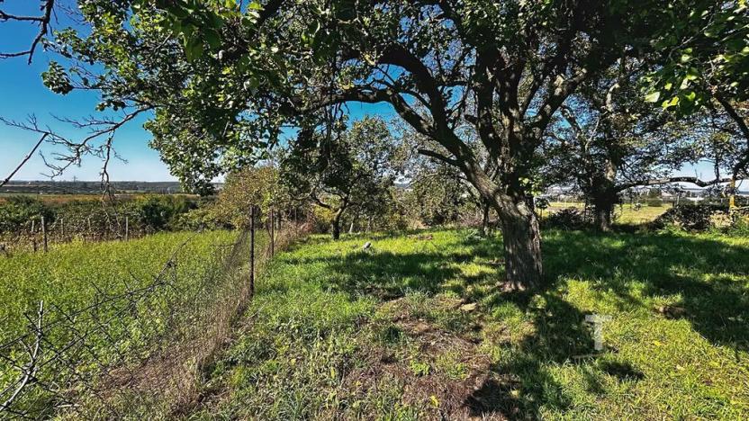 Prodej zahrady, Kyjov, 1046 m2