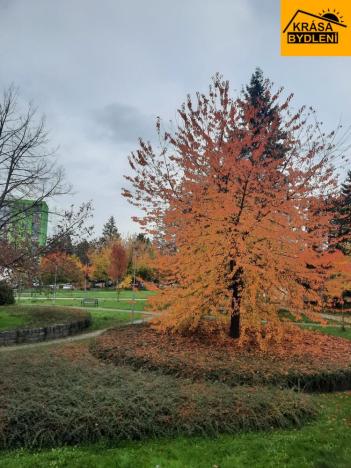 Prodej bytu 2+1, Mohelnice, Ztracená, 55 m2