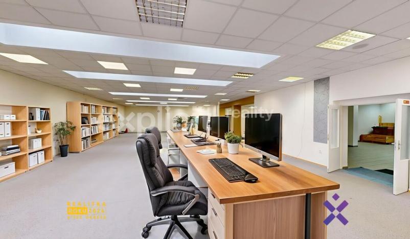 Pronájem obchodního prostoru, Staré Město, Brněnská, 387 m2