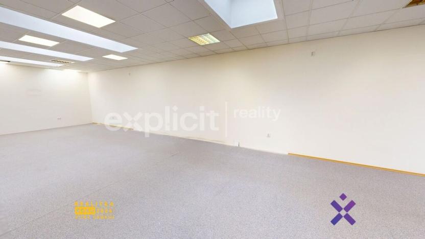 Pronájem obchodního prostoru, Staré Město, Brněnská, 387 m2