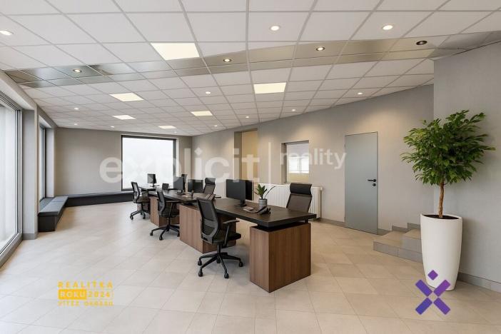 Pronájem obchodního prostoru, Staré Město, Brněnská, 387 m2