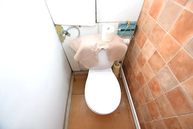 Prodej bytu 2+1, Týn nad Vltavou, 52 m2