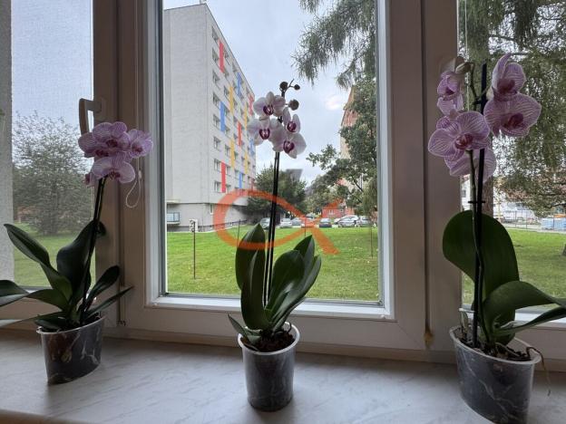 Prodej bytu 3+1, Valašské Meziříčí, Sklářská, 93 m2