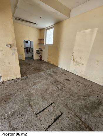 Pronájem skladu, Opava - Předměstí, Těšínská, 8925 m2