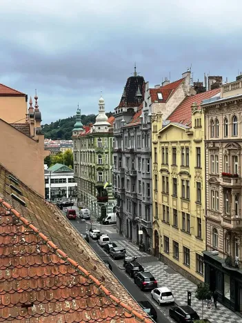 Pronájem bytu 5+1, Praha, Myslíkova, 182 m2