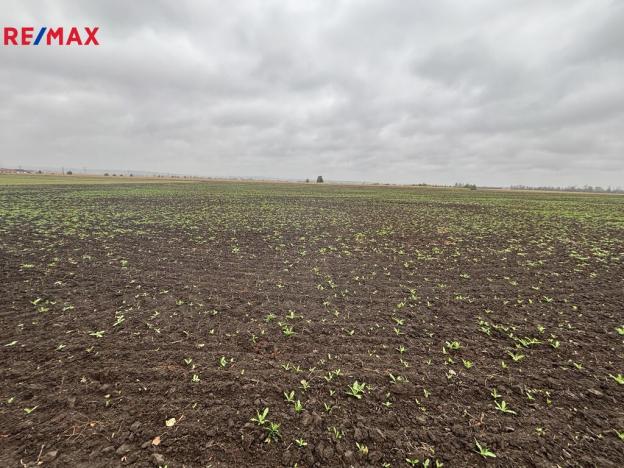 Prodej pole, Vrbovec, 14681 m2