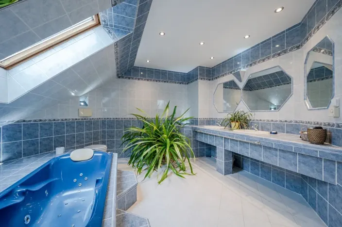 Prodej rodinného domu, Velké Přílepy, Slavíčkova, 330 m2