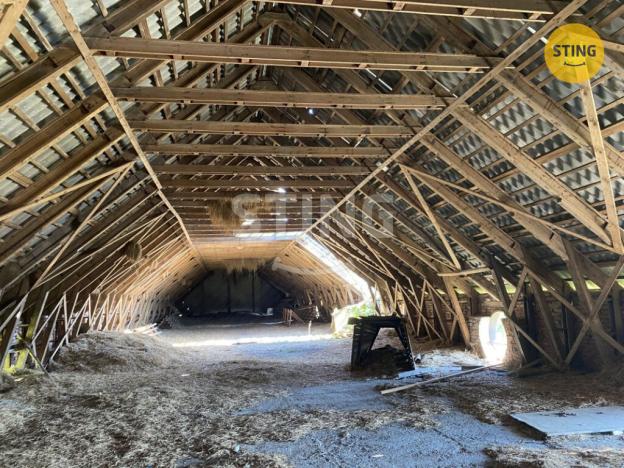 Prodej výrobních prostor, Borušov, 700 m2