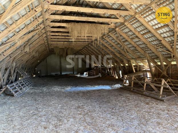 Prodej výrobních prostor, Borušov, 700 m2