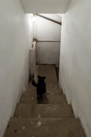 Prodej rodinného domu, Pchery - Humny, Husova, 180 m2