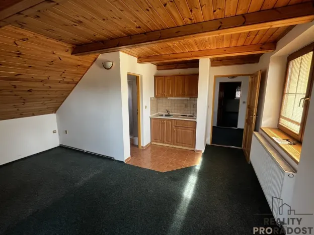 Prodej apartmánu, Podhradní Lhota, 160 m2