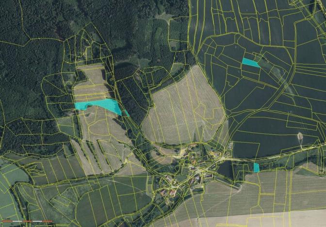 Prodej pole, Jankov - Nosákov, 11282 m2