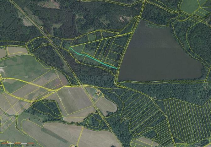 Prodej louky, Petříkov - Těšínov, 1557 m2