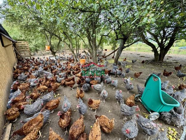 Prodej komerčního pozemku, Litvínov - Janov, Loupnická, 10231 m2