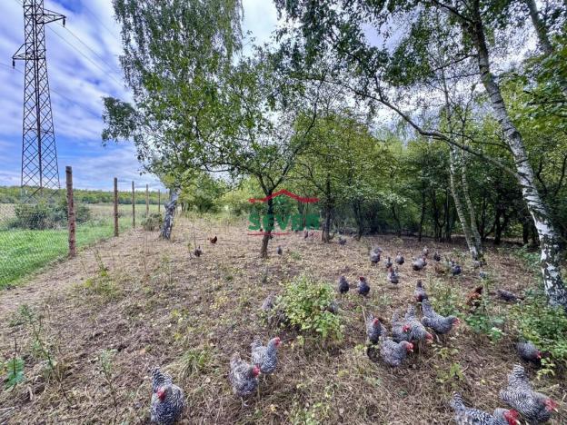 Prodej komerčního pozemku, Litvínov - Janov, Loupnická, 10231 m2